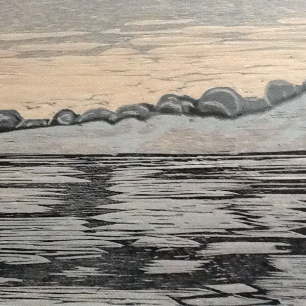 Barents' Sea