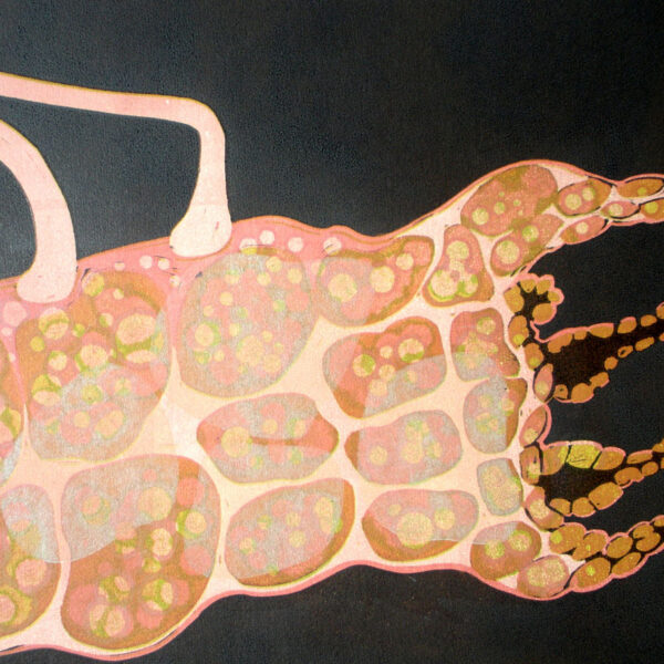Mother Cells