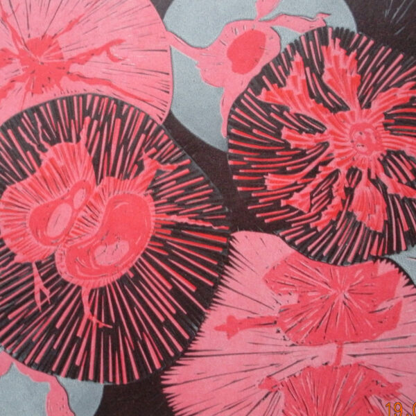 Red Diatoms