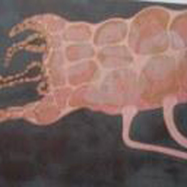 Mother Cells