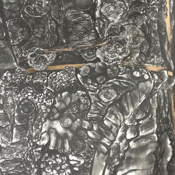 fullsizeoutput_dd4 TreeGuard drawing