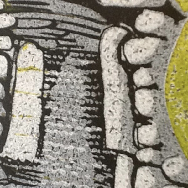 image00009 Detail