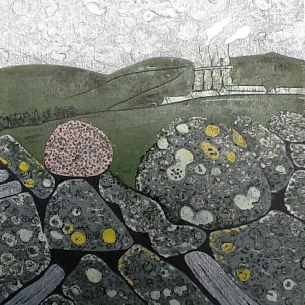 image00013 Shap