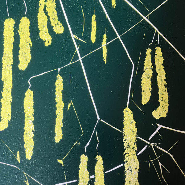 “Hazel catkins” woodcut 33 x 45 Edition of 6